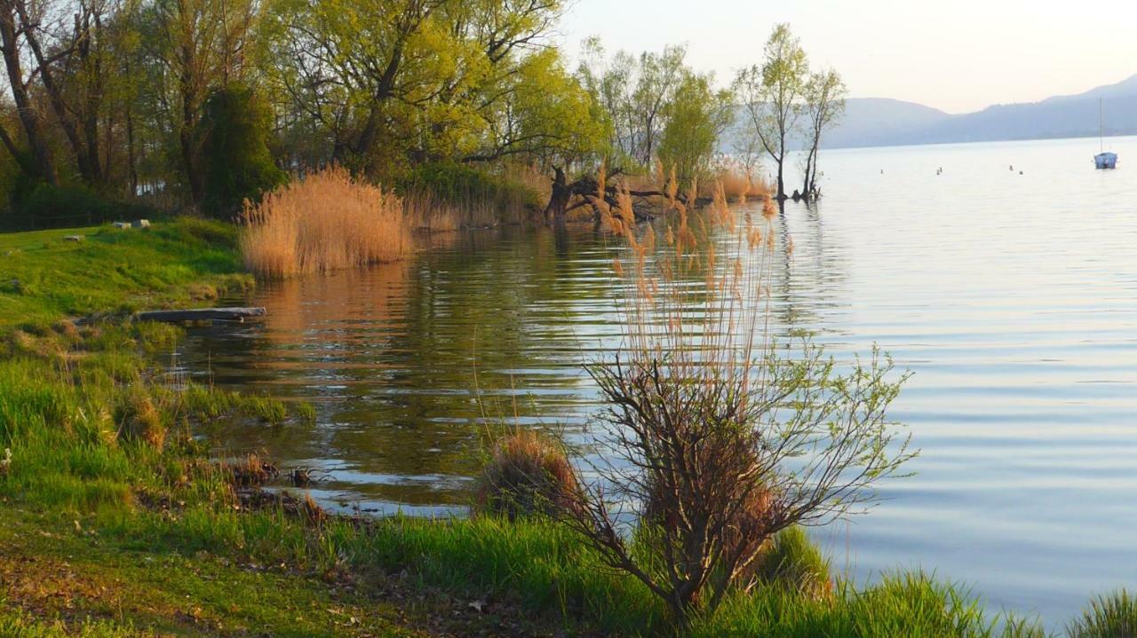 מונוואלה The Gulf Villa - Lago Maggiore מראה חיצוני תמונה