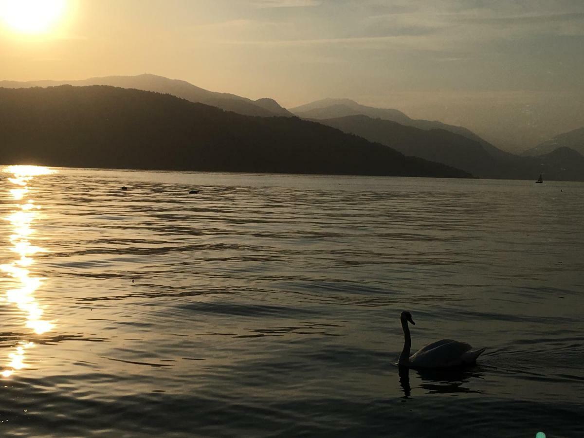 מונוואלה The Gulf Villa - Lago Maggiore מראה חיצוני תמונה