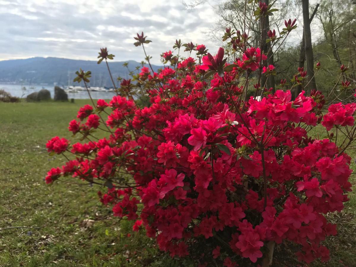 מונוואלה The Gulf Villa - Lago Maggiore מראה חיצוני תמונה